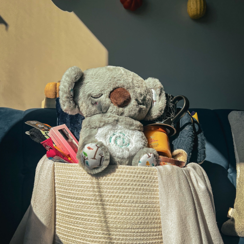 Relief Koala