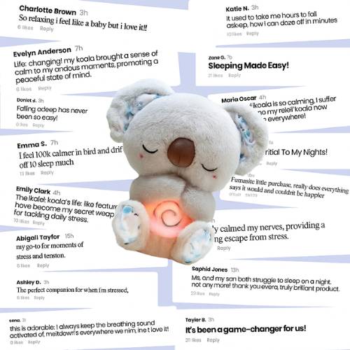 Relief Koala